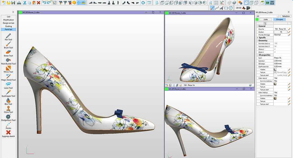 3d footwear patterns design software